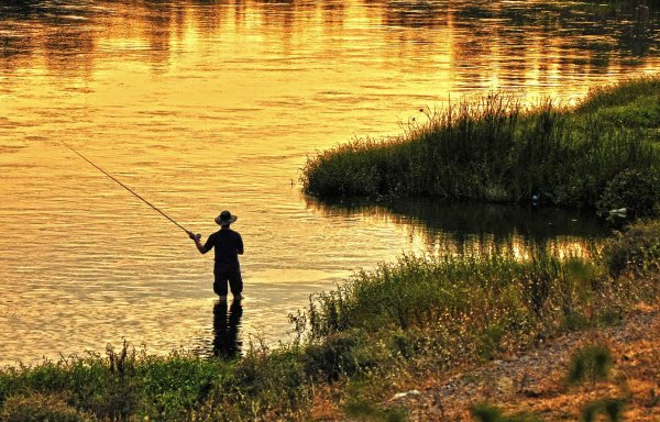 рыбаки на берегу