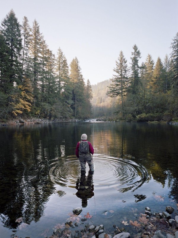 озера в лесу