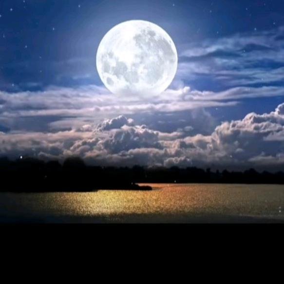 лунная ночь