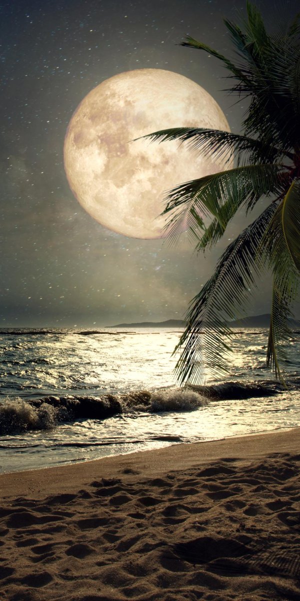 ночной пляж