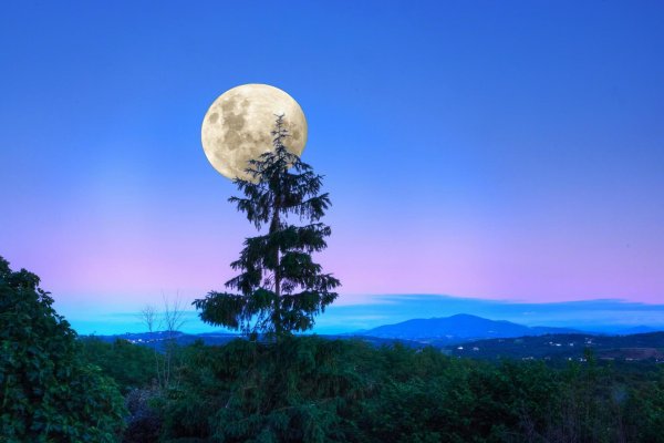 природа луны