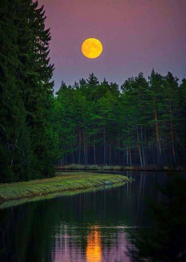 ночные пейзажи природы