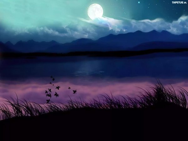 ночные пейзажи природы