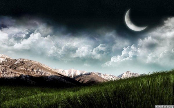 темные пейзажи