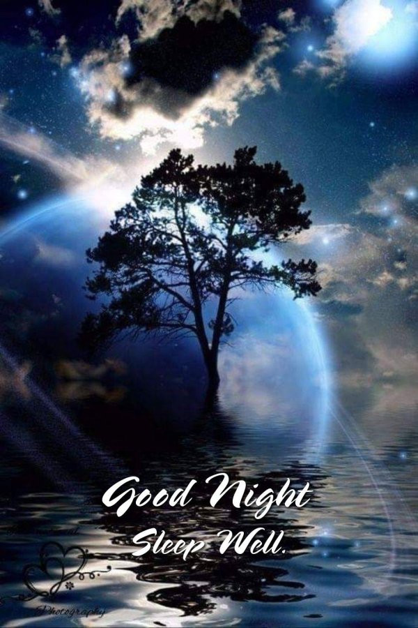 дерево вселенная