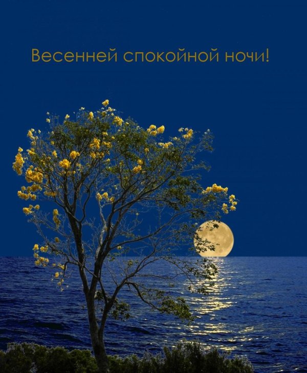 весенней ночи