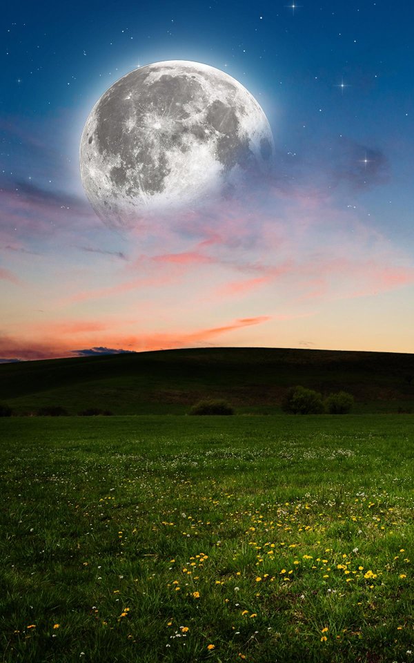 ночное поле