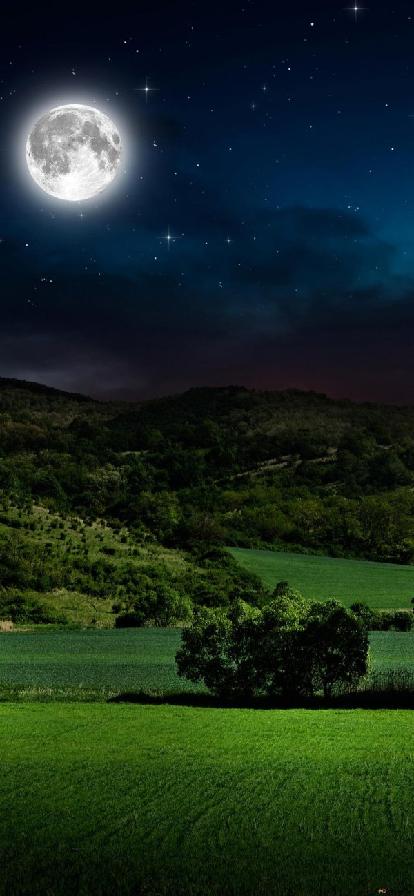 ночное поле