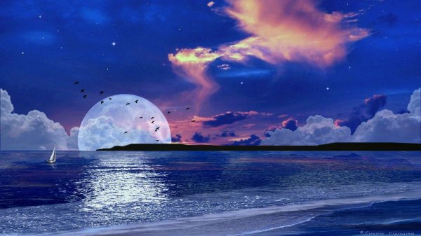 звезда над морем