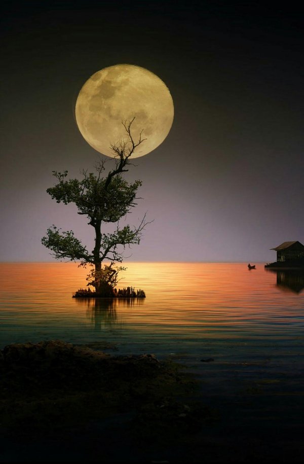 лунные пейзажи