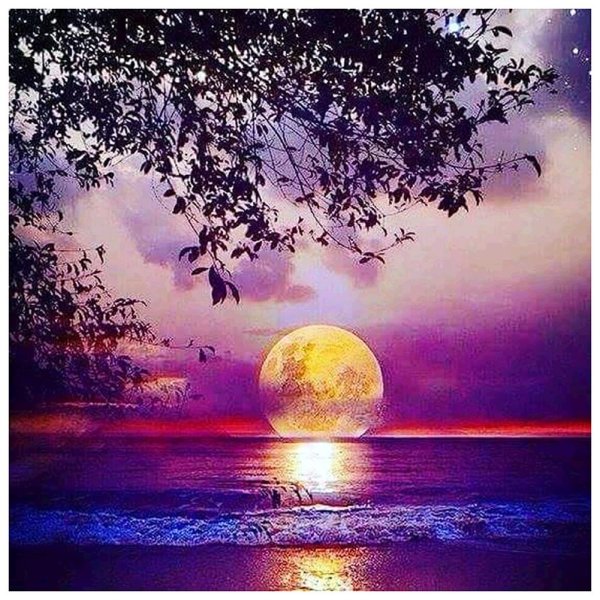 алмазная вышивка