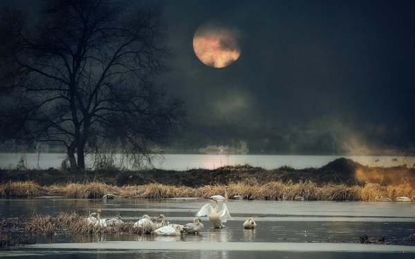 лунные пейзажи