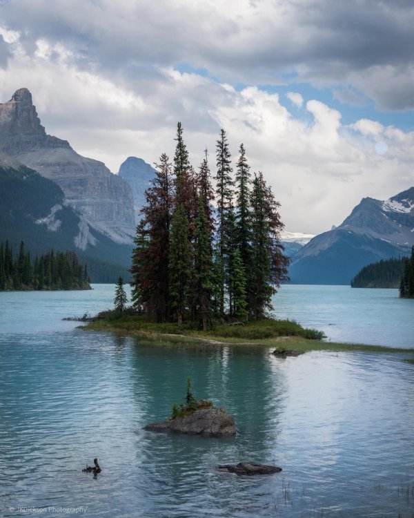 озеро малайн парк джаспер