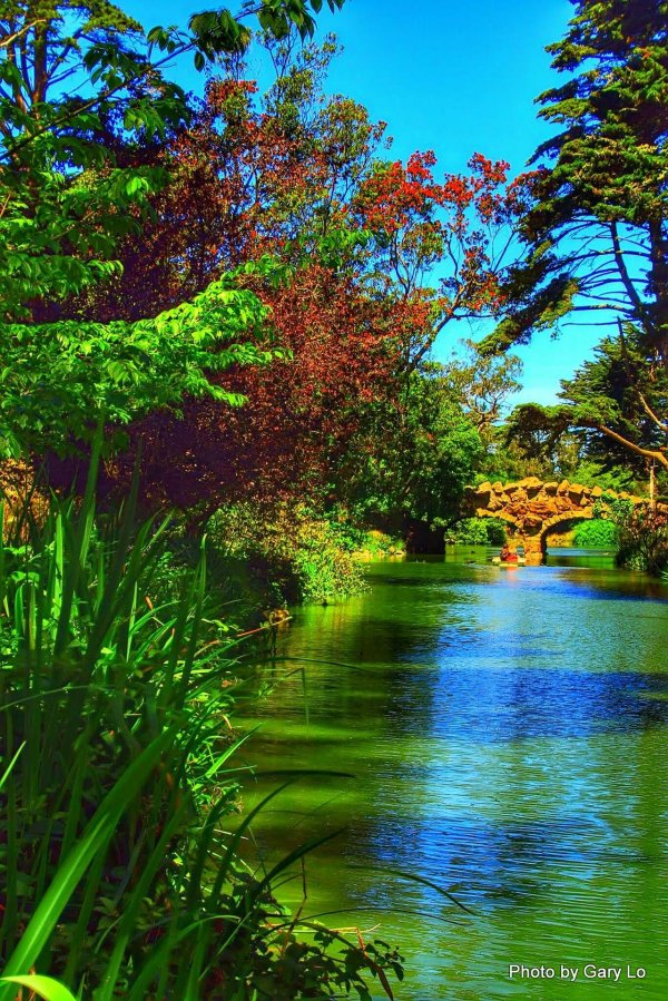 красивые сады