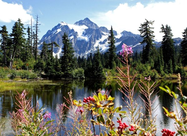 гора шуксан вашингтон