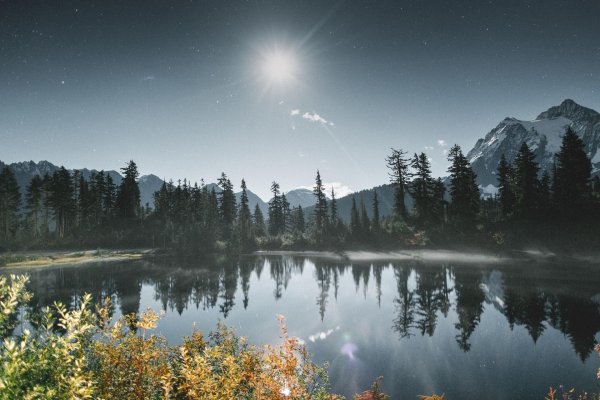 пейзаж обычный