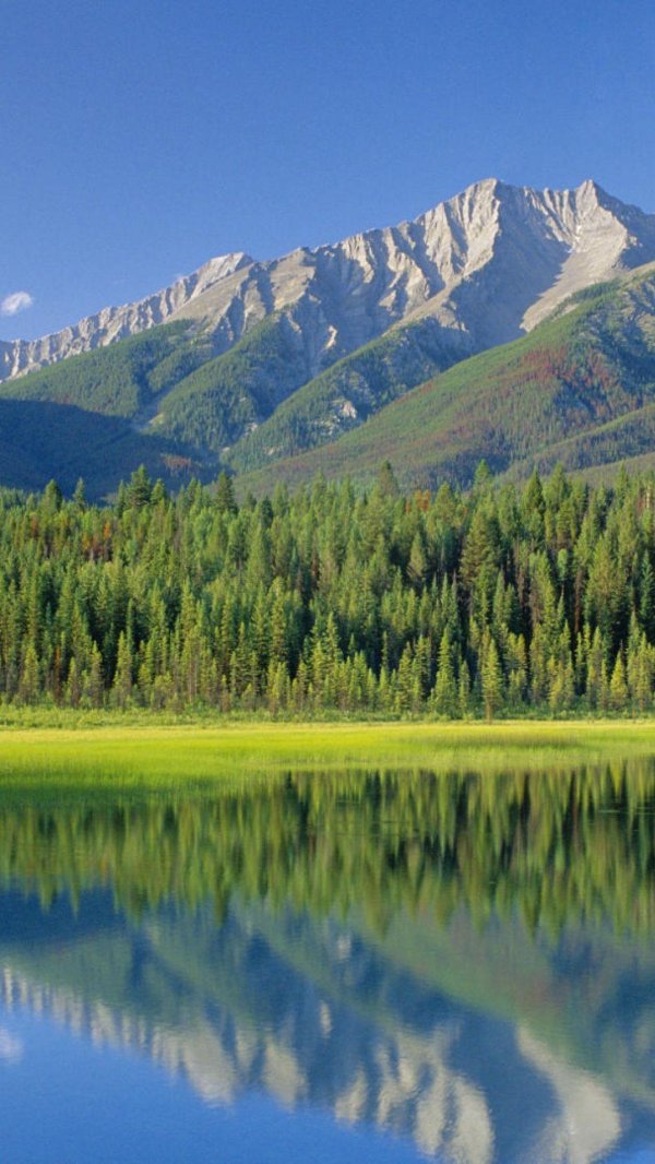 россии природа