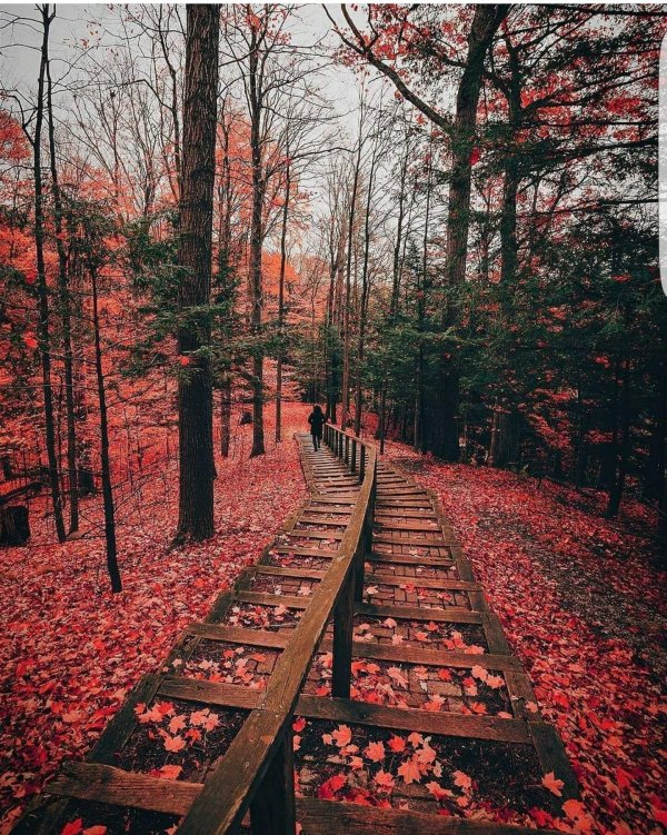 осенние фотографии