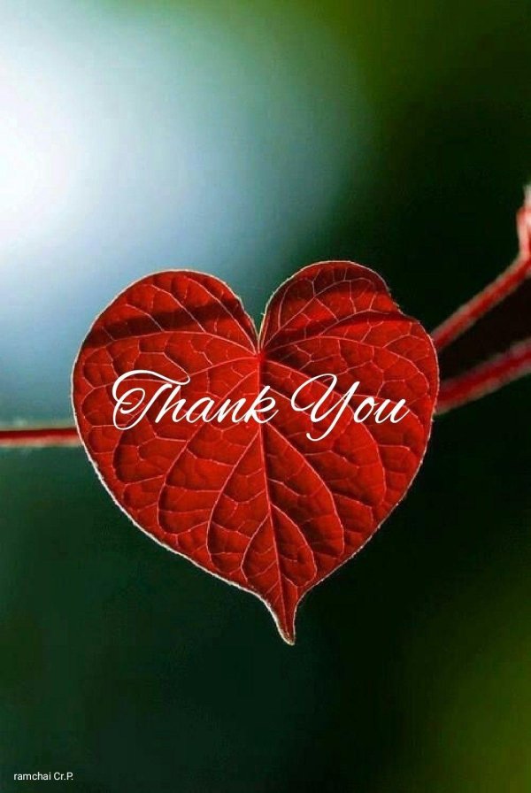 виды сердец