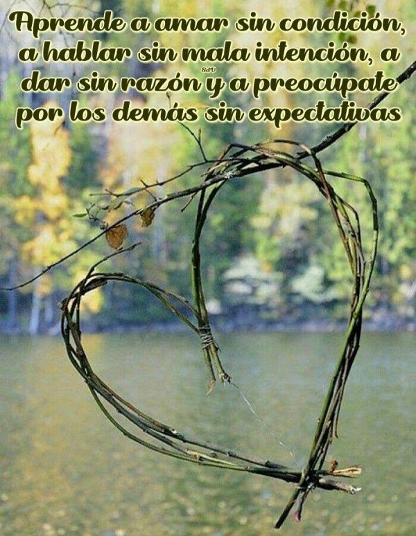 колючая проволока