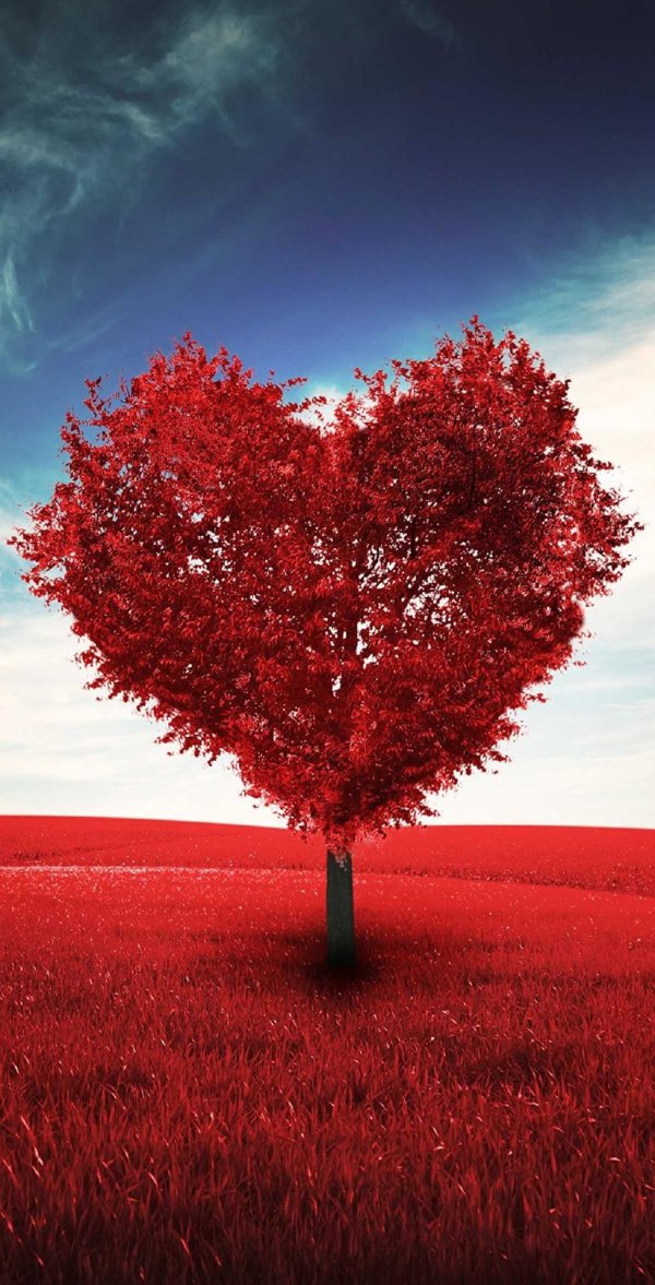 любовное дерево