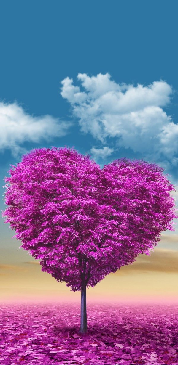 дерево любви