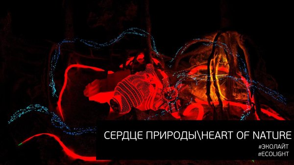 сердца анатомия