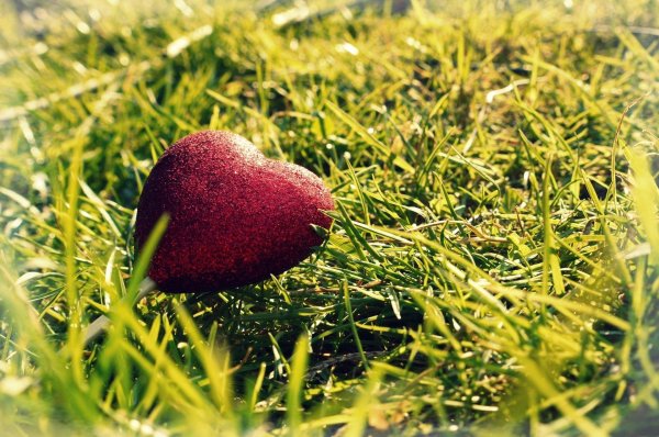 сердца любви