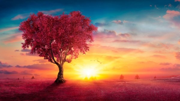 пейзаж на закате