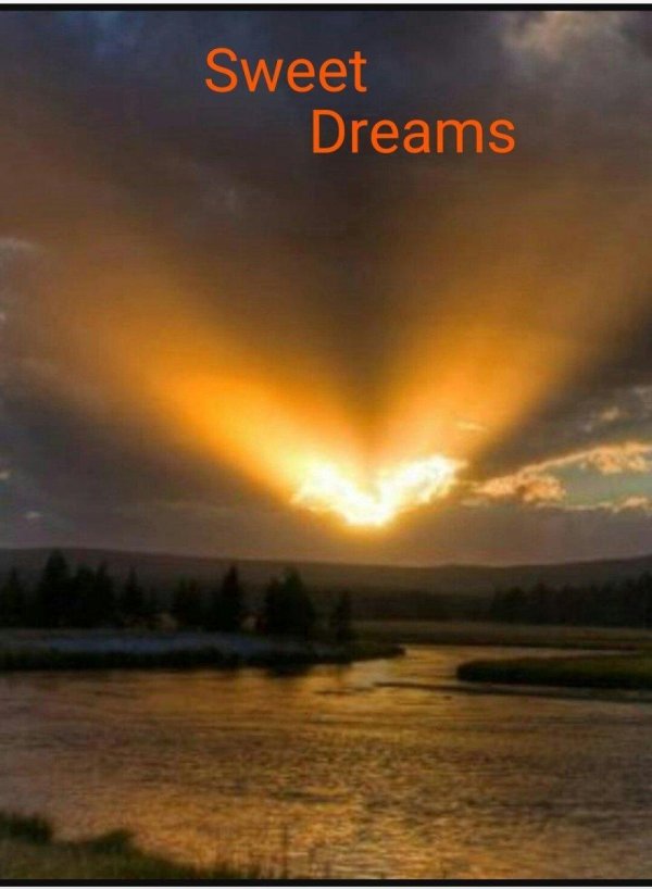 удивительная природа