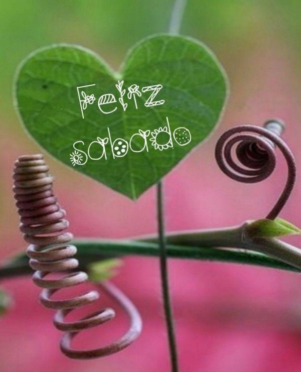 сердце спираль