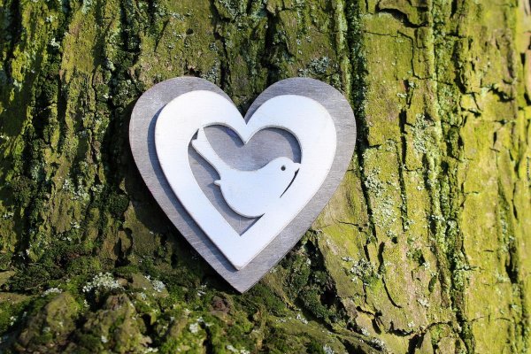 сердечко из дерева