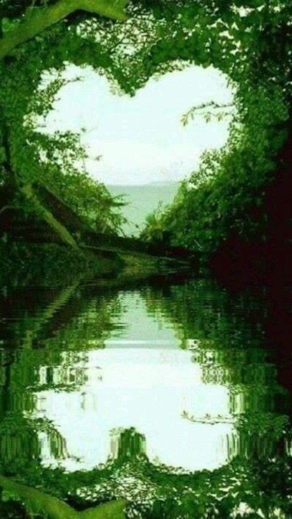 удивительная природа