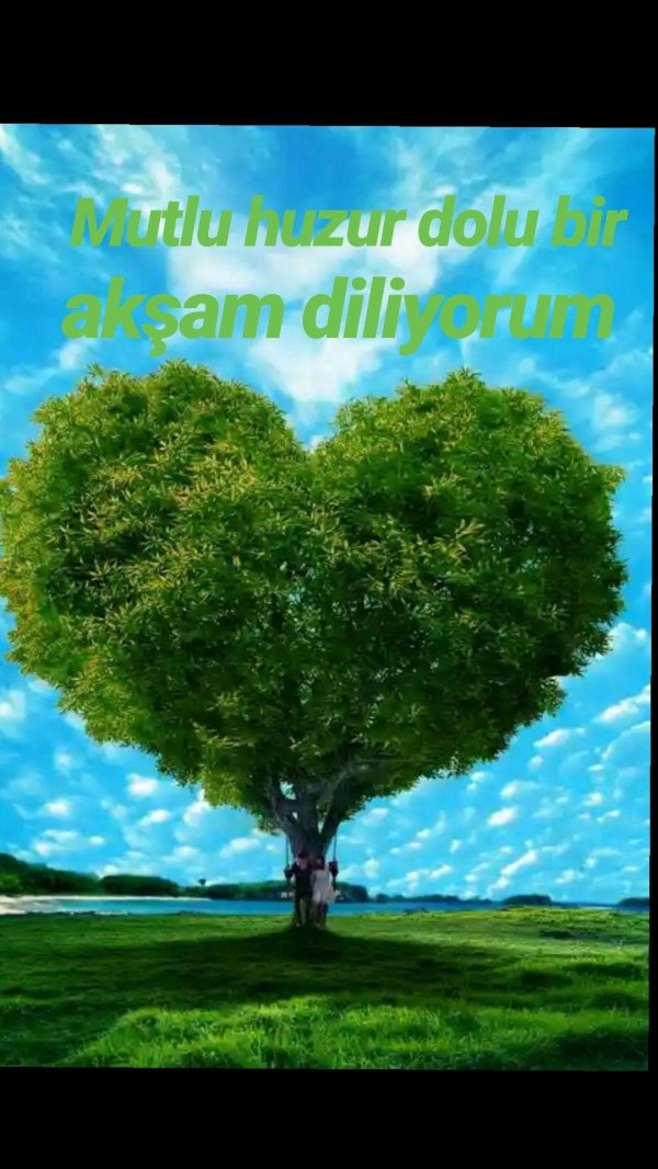 красивое дерево