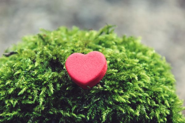 зеленое сердечко