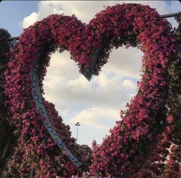 миракл гарден дубай