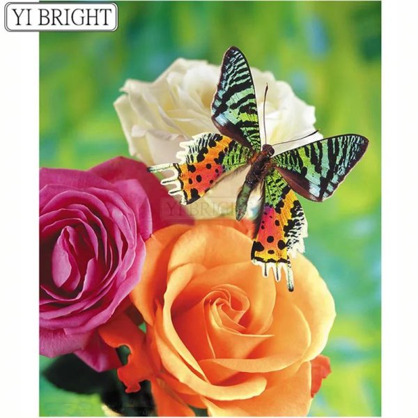 урания мадагаскарская