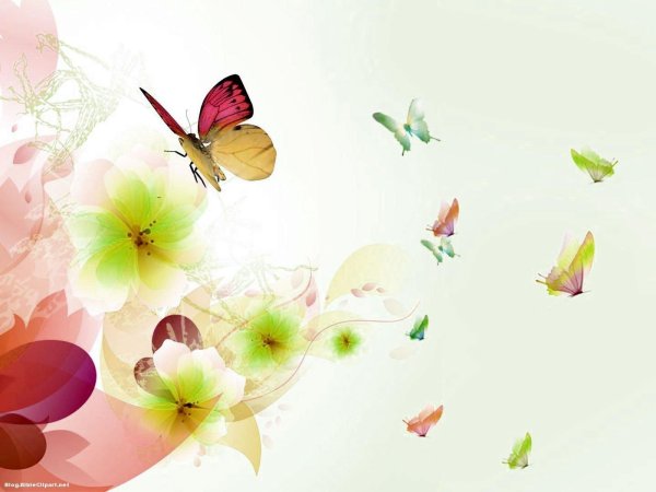 цветочные фоны