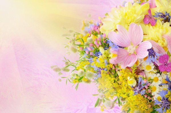 цветочные фоны