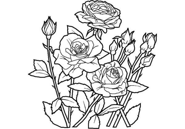 разукрашки цветов