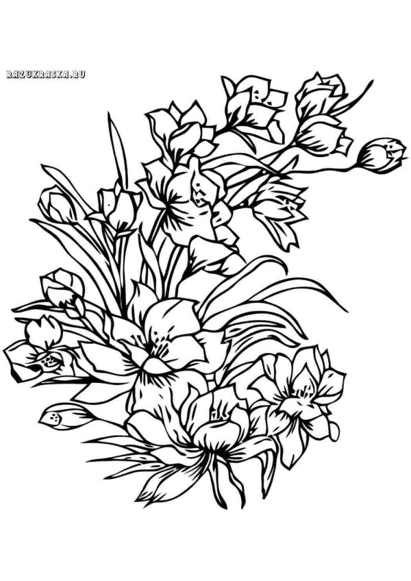 контурные цветы