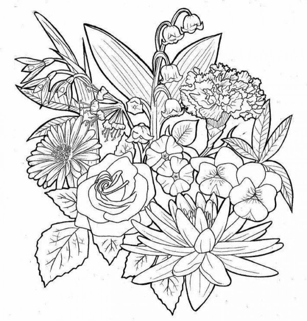 рисунки для раскрашивания цветы