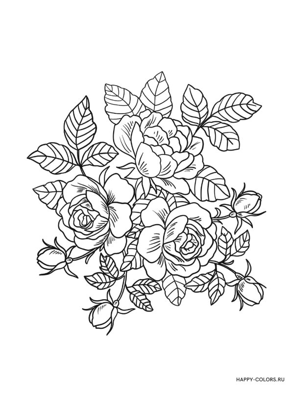 цветочная раскраска