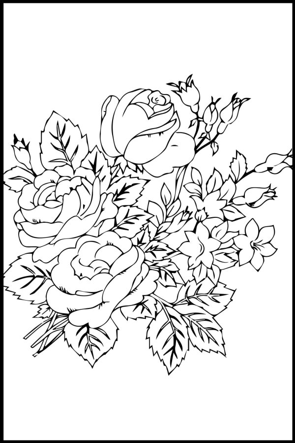 рисунки цветов для раскрашивания