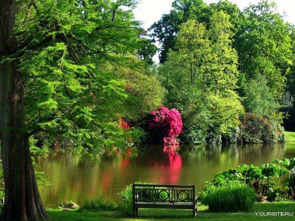 самые красивые парки