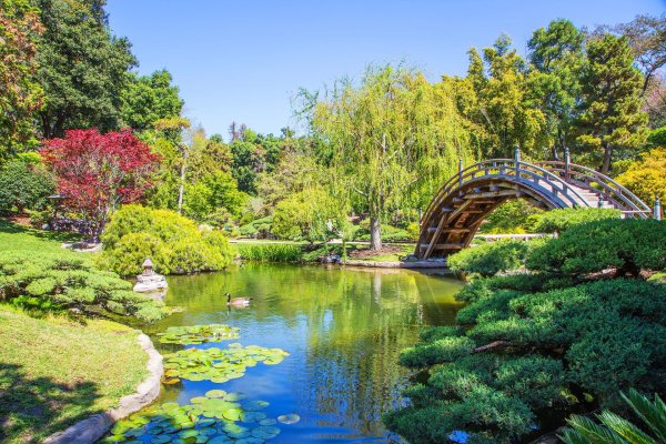 япония речка мостик лес