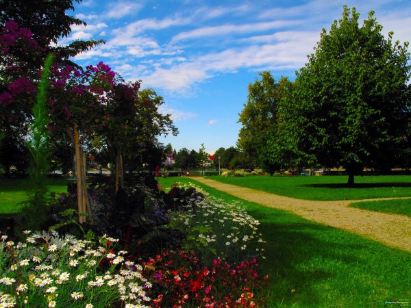 красивые сады