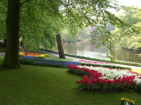 сады кекенхоф нидерланды