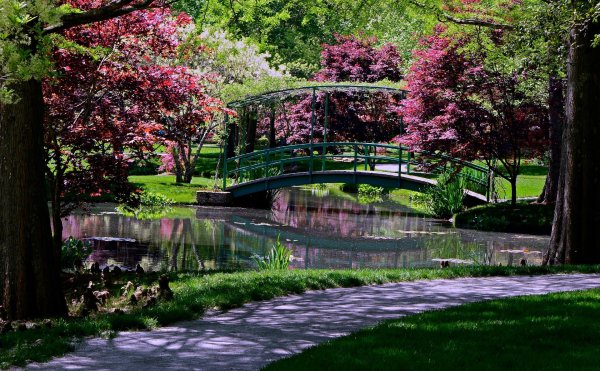 сад трокадеро пруд