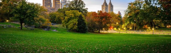central park new york